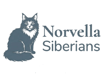 Norvella Siberians